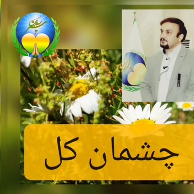 چشمان کل